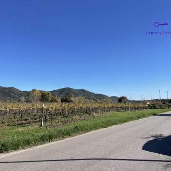 Terreno in vendita a Galzignano Terme (Padova)