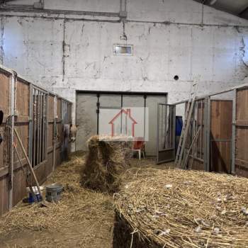 Magazzino in affitto a Spresiano (Treviso)