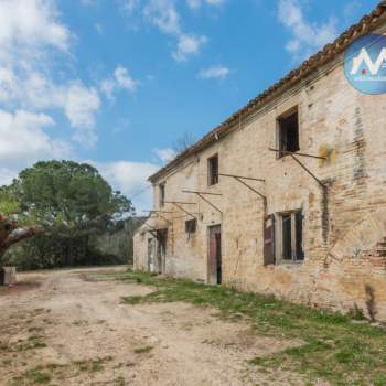 Rustico in vendita a Pesaro (Pesaro e Urbino)