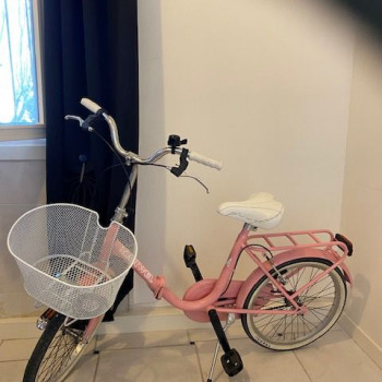 Bicicletta da donna