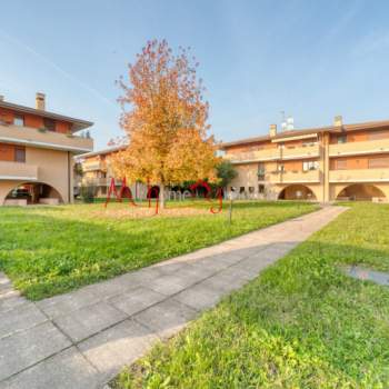 Appartamento in vendita a Padova (Padova)