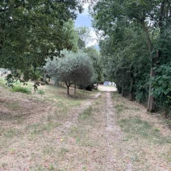 Terreno in vendita a Albettone (Vicenza)