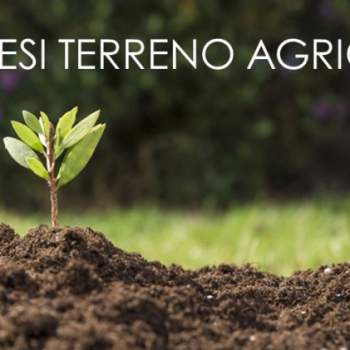 Terreno in vendita a Ros&agrave; (Vicenza)