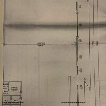 Capannone in affitto a Torreglia (Padova)