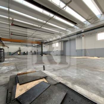 Capannone in affitto a Piazzola sul Brenta (Padova)