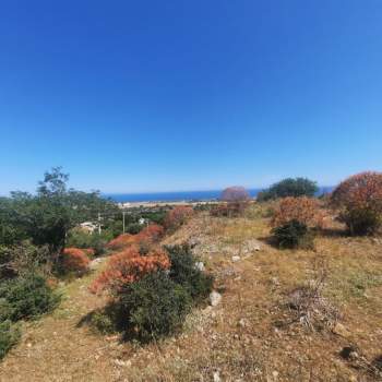 Terreno in vendita a Cinisi (Palermo)