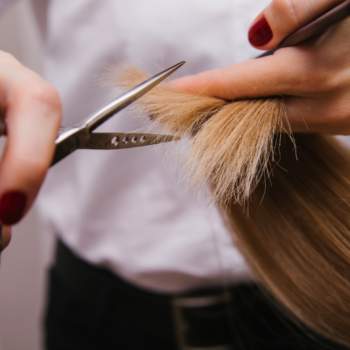 Attivita commerciale in vendita a San Bonifacio (Verona)