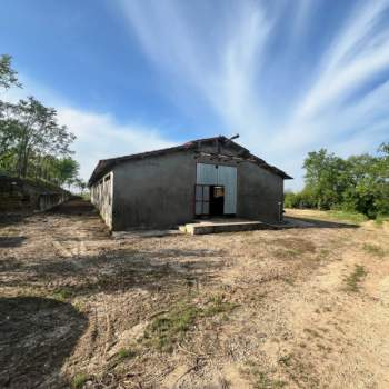 Capannone in vendita a Alonte (Vicenza)