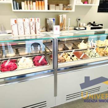 Attivita commerciale in vendita a Borgoricco (Padova)