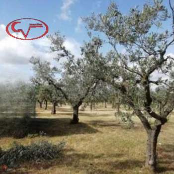 Terreno in vendita a Montevarchi (Arezzo)