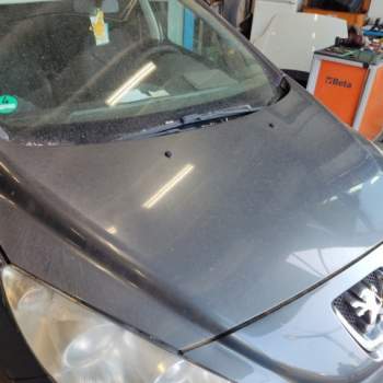 Cofano PEUGEOT 308  del 2009