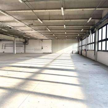 Capannone in Vendita a Treviso 790TRE a Treviso