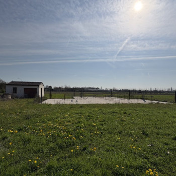 PIANIGA Terreno di circa 7000mq immerso nel verde 