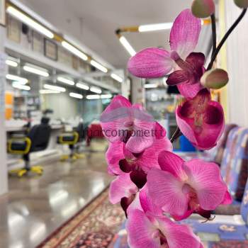 NEGOZIO - STUDIO PROFESSIONALE - UFFICIO DI 70 MQ a Vittorio Veneto