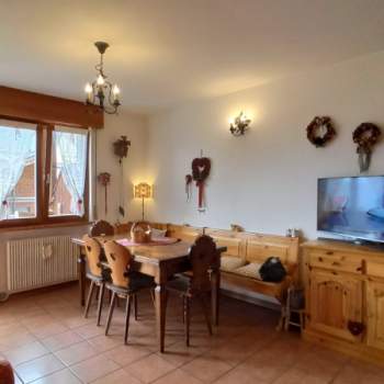 Appartamento in vendita a Pieve di Cadore (Belluno)