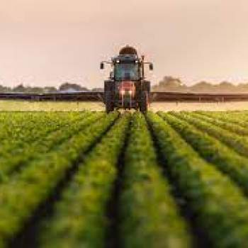 Terreno in vendita a Casale sul Sile (Treviso)