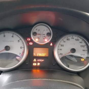 Quadro strum PEUGEOT 207 1360cc benzina 2007