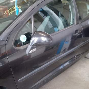 Porta anteriore sx nuda PEUGEOT 207  del 2007