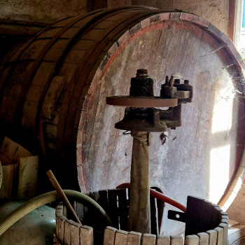 Botte da cantina e/o collezionismo-arredo