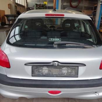 Portellone nudo PEUGEOT 206  del 2003