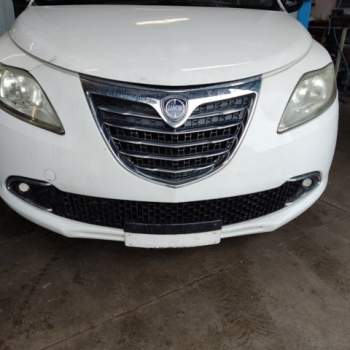 Griglia anteriore LANCIA YPSILON  del 2011