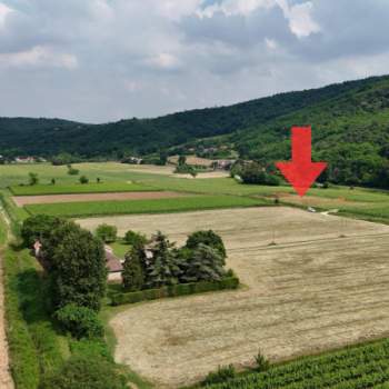 Terreno in vendita a Baone (Padova)