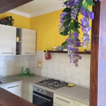 Appartamento in affitto a Montalto di Castro (Viterbo)