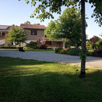 Villa in vendita a Correzzola (Padova)