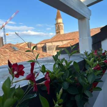 Appartamento in vendita a Castelfranco Veneto (Treviso)