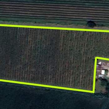 Terreno in vendita a Cinto Euganeo (Padova)