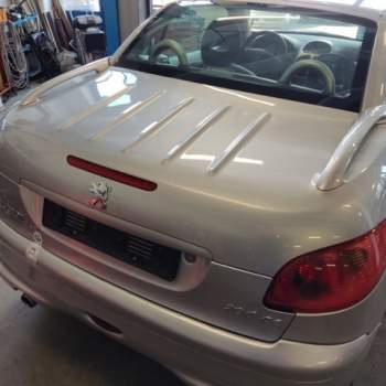 Portellone nudo PEUGEOT 206  del 2005