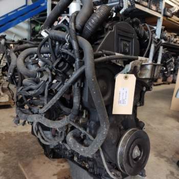 Motore FORD FOCUS 1560cc diesel  del 2008