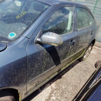 Porta anteriore sx nuda SKODA OCTAVIA  del 2006