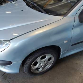 Parafango sinistro PEUGEOT 206  del 2004
