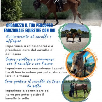 Lezioni di equitazione emozionale 
