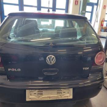 Portellone nudo VOLKSWAGEN POLO  del 2008