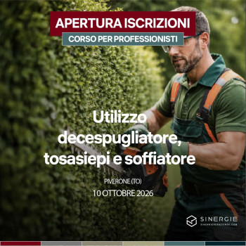 PATENTINO DECESPUGLIATORE, TOSASIEPI, SOFFIATORE &ndash; PIVERONE (TO)