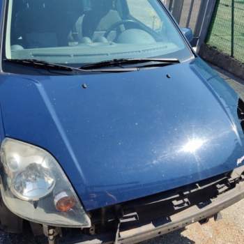 Cofano FORD FIESTA  del 2008
