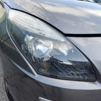 Proiettore destro RENAULT SCENIC  del 2010