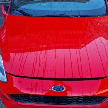 Cofano FORD FIESTA  del 2019