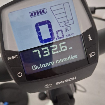 bici elettrica