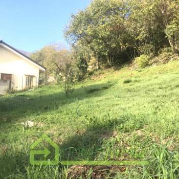 Trifamiliare in vendita a Longare (Vicenza)