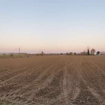 Terreno agricolo a Trevignano
