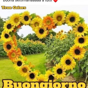 Gruppo amicizie 