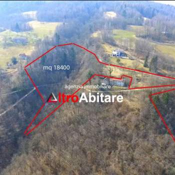 Bosco ceduo di 30.000 mq con rustico da ristruttur a Borgo Valbelluna