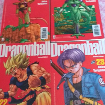 Fumetti  Dragon bal  tnuti bene