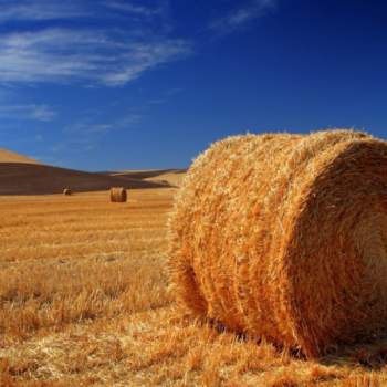 Terreno in vendita a Este (Padova)