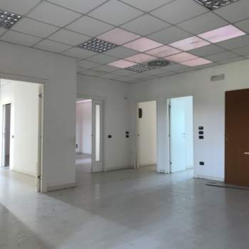 Capannone in vendita a Vigodarzere (Padova)