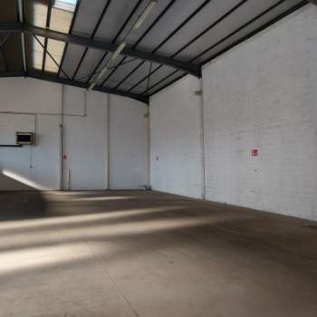 Capannone in affitto a Padova (Padova)