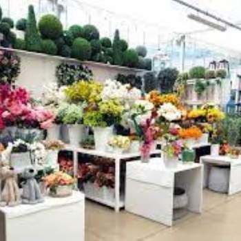 Attivita commerciale in vendita a Padova (Padova)